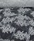 White Sequin Embroidered Lace Fabric by the Yard, 54" Wide Floral Mesh Lace with Double Scalloped Edges